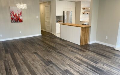 Wet Basement Causes and Solutions